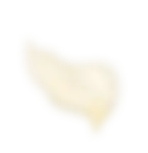花びら